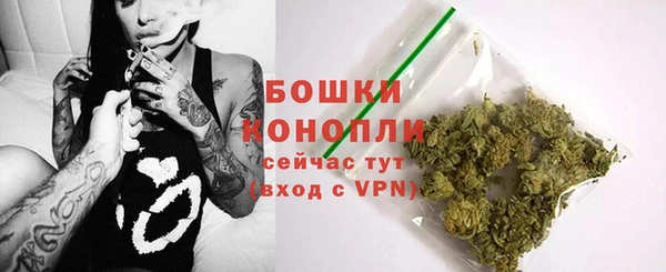 молекула духа Белоозёрский
