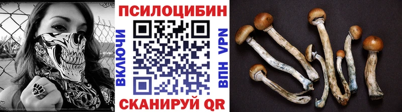 купить   Задонск  Псилоцибиновые грибы Magic Shrooms 